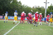 Enlarge photo 395