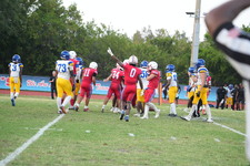 Enlarge photo 398