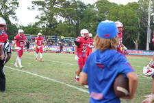 Enlarge photo 423