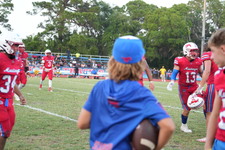 Enlarge photo 425