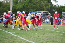 Enlarge photo 431