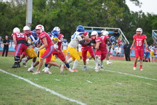 Enlarge photo 432