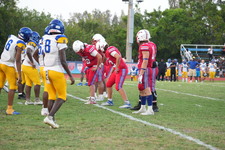 Enlarge photo 456