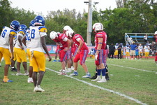 Enlarge photo 457