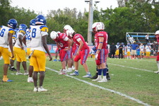 Enlarge photo 458