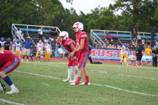 Enlarge photo 463