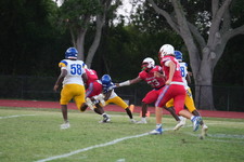 Enlarge photo 498