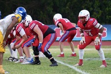 Enlarge photo 545