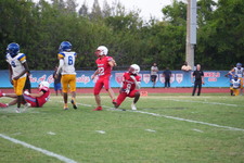 Enlarge photo 557
