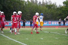 Enlarge photo 558