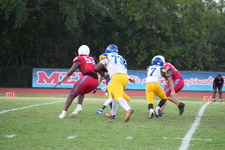Enlarge photo 594
