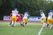 Enlarge photo 597