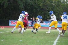 Enlarge photo 599