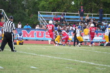 Enlarge photo 603