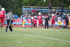 Enlarge photo 607