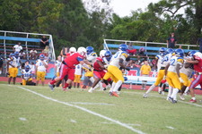 Enlarge photo 619