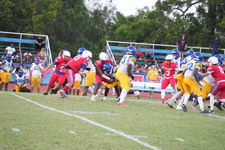 Enlarge photo 621