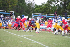 Enlarge photo 622