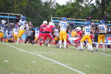 Enlarge photo 624