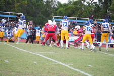 Enlarge photo 625