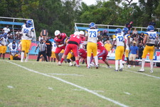 Enlarge photo 628