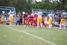 Enlarge photo 629