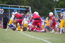 Enlarge photo 632