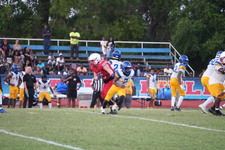 Enlarge photo 524