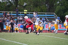 Enlarge photo 428