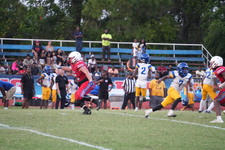 Enlarge photo 172