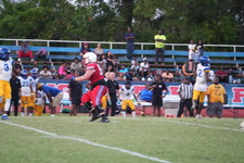 Enlarge photo 559