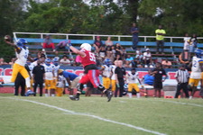 Enlarge photo 488