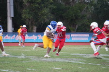 Enlarge photo 242