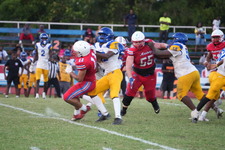 Enlarge photo 323