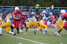 Enlarge photo 481