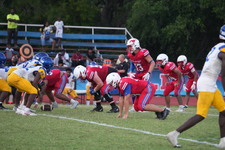 Enlarge photo 236
