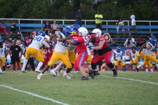 Enlarge photo 339
