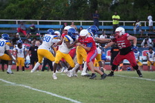 Enlarge photo 71
