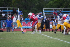 Enlarge photo 667