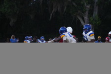Enlarge photo 744