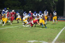 Enlarge photo 773
