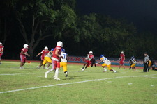 Enlarge photo 910