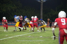 Enlarge photo 953