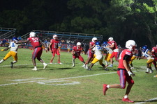 Enlarge photo 1009