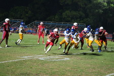 Enlarge photo 1021