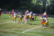Enlarge photo 1027