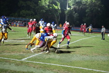 Enlarge photo 1033