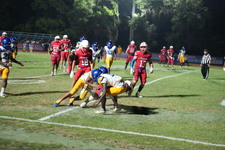 Enlarge photo 1035