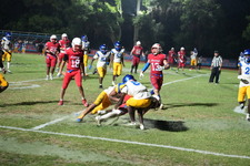 Enlarge photo 1037