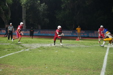 Enlarge photo 1108